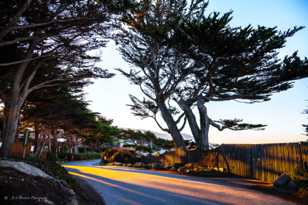 Carmel Scenic Drive-8018 Carmel Scenic Drive-8018